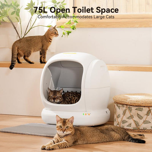 MeoWant SC02 75L Large Self-Cleaning Cat Litter Box with APP Control, Odor Removal, Anti-Pinch Design, and Easy Installation for Multiple Cats https://shop.tiktok.com/view/product/1729492848884224495?region=US&locale=zh